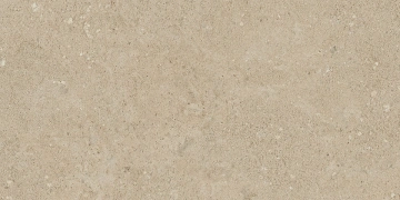 Керамогранит  NP01 30,6x60,9x8 Непол. (Керамический гранит) _2