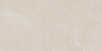 Керамогранит  RO02 60x120x9 Непол.Рект. (Керамический гранит) _6