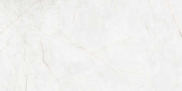 Керамогранит NL00 60x120x9 Полир. (Керамический гранит)-2