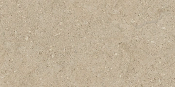 Керамогранит  NP01 30,6x60,9x8 Непол. (Керамический гранит) _10