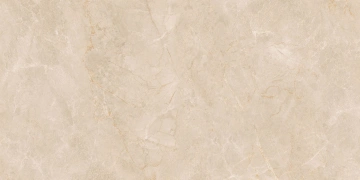 Керамогранит  EXM101 60x120x9 Непол.Рект. (Керамический гранит) _5