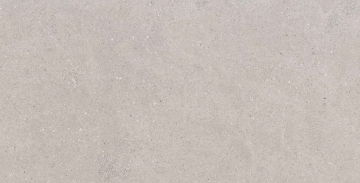 Керамогранит  CE00 60x120x9 Структур.Рект. (Керамический гранит) 