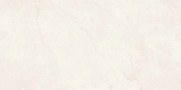 Керамогранит  TE04 60x120x9 Непол.Рект. (Керамический гранит) _1