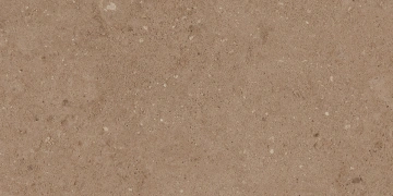 Керамогранит  COG501 60x60x20 Противоскольз.Рект. (Керамический гранит) _8