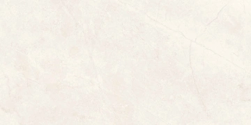 Керамогранит  TE04 60x120x9 Непол.Рект. (Керамический гранит) _6