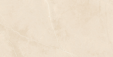 Керамогранит  MA03 60x60x10 Непол.Рект. (Керамический гранит) 