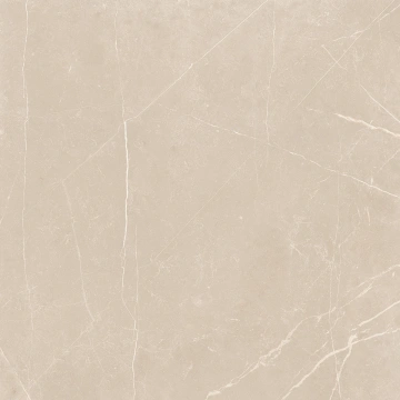 Керамогранит  NL00 60x60x10 Полир. (Керамический гранит) _2