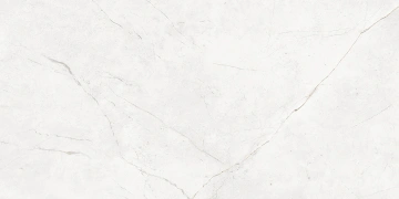 Керамогранит  NL02 60x60x10 Полир. (Керамический гранит) _7