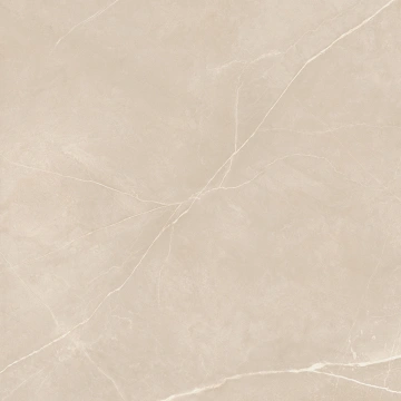 Керамогранит  NL00 60x60x10 Полир. (Керамический гранит) _17