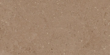 Керамогранит  COG501 60x60x20 Противоскольз.Рект. (Керамический гранит) _11