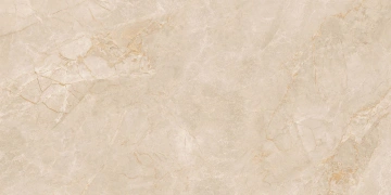 Керамогранит  EXM101 60x120x9 Непол.Рект. (Керамический гранит) _2
