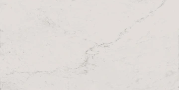 Керамогранит  AW02 19,4x120x10 Непол.Рект. (Керамический гранит) _8