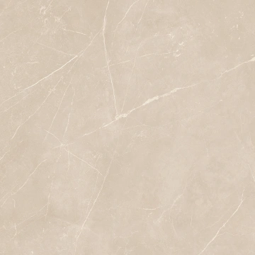 Керамогранит  NL00 60x60x10 Полир. (Керамический гранит) _13