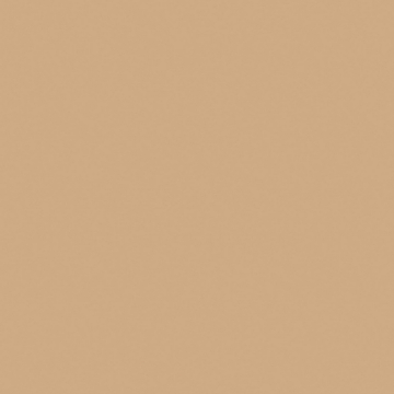 Керамогранит  RW06 60x60 Непол.Рект. (Керамический гранит) 