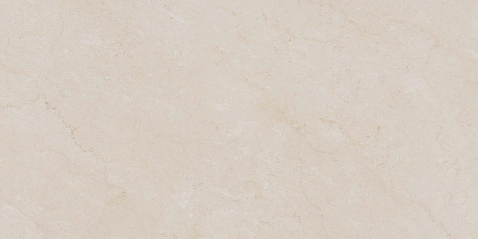 Керамогранит AEM00 60x120x9 Непол.Рект. (Керамический гранит) #9