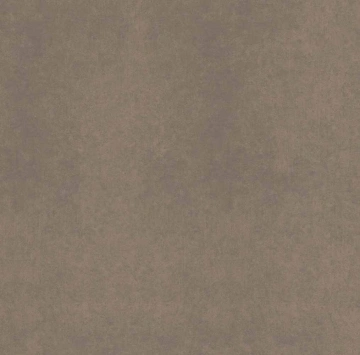 Керамогранит  RW034 60x60 Непол.Рект. (Керамический гранит) _6